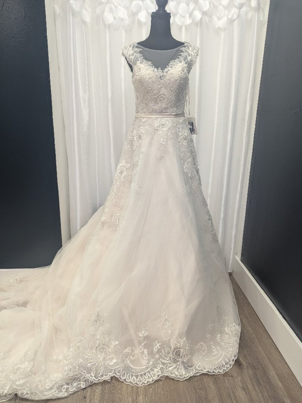 NWT Wedding Dress